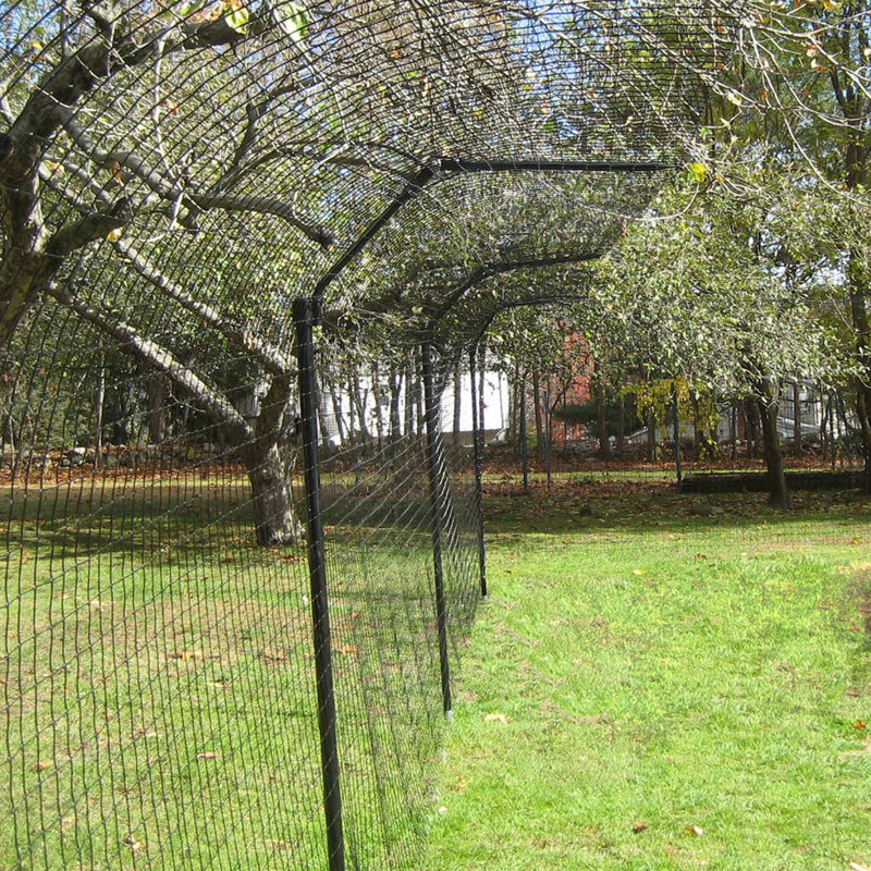 Purrfect Fence Pet Pen Wayfair